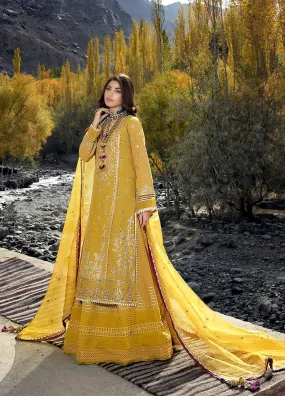 Asim Jofa-03