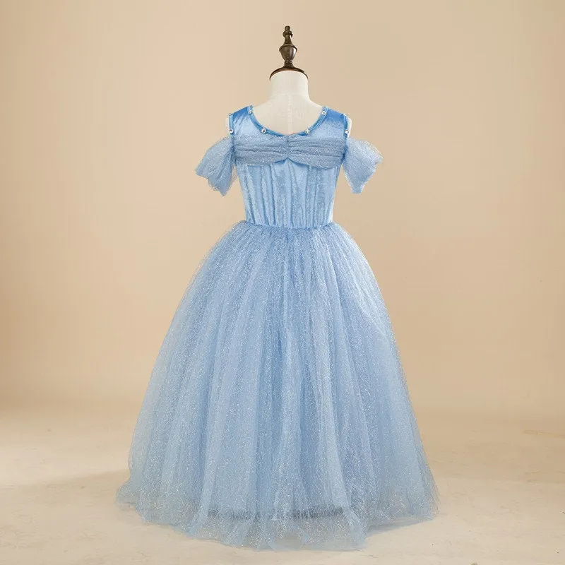 Cinderella Inspired Butterfly Theme Girls Dress