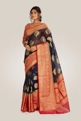 Fine Organza Tissue Saree