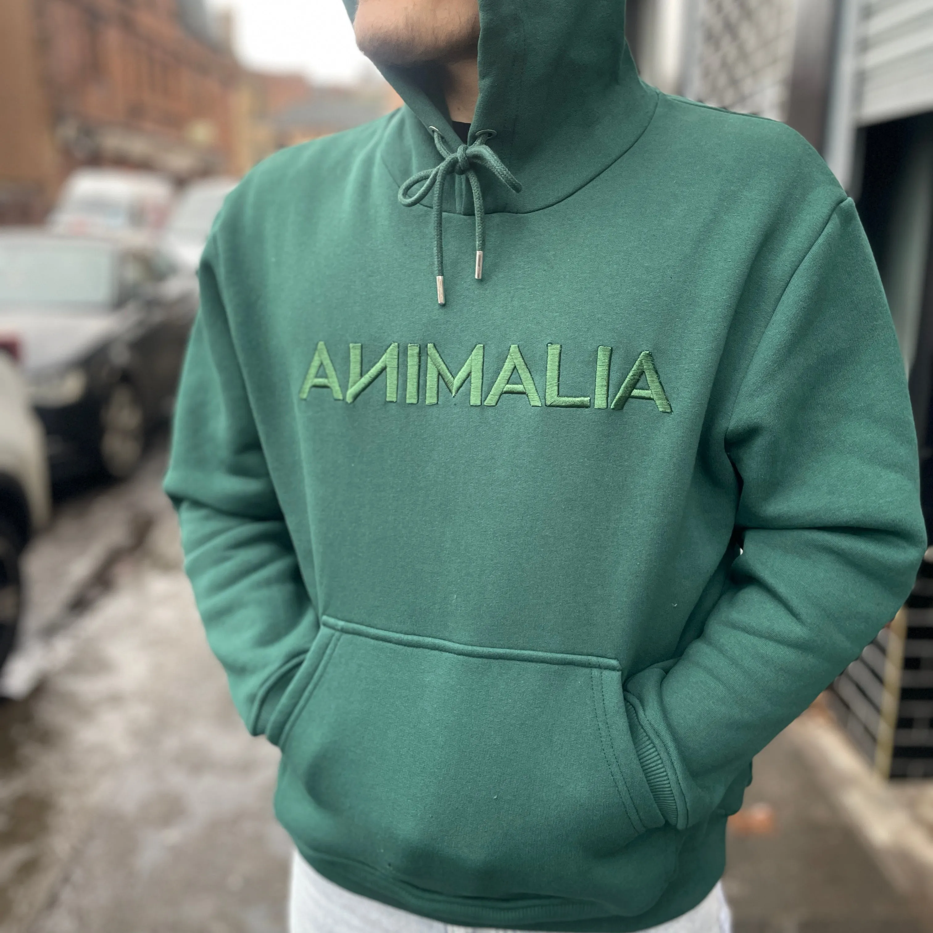 Kids Animalia Embroidered Hoodie